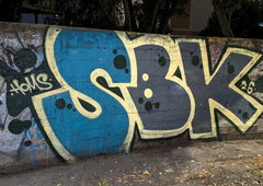 Photo #251129 by iobe1