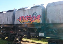 Graffiti Train - Photo by Hopfensmoothie - freight, germany, cezo (2019)