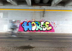 Photo #33782 by nabe1