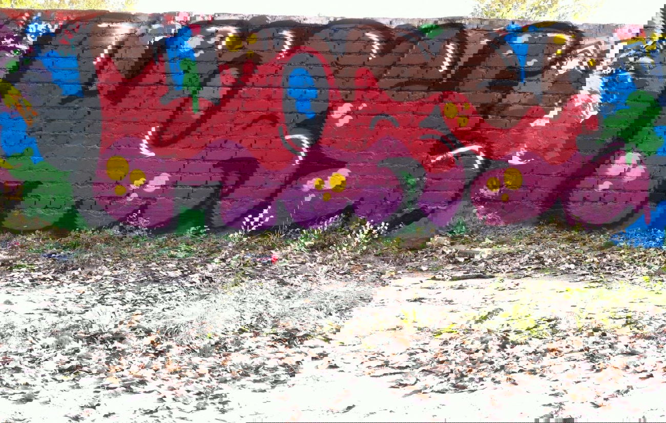 Graffiti Wall in Minsk - Photo by Horse - horseone (2013)