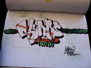 Graffiti Sketch - Photo by Horst3000 - Horst, 3000 (2014)