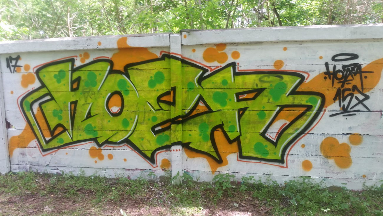 Graffiti Wall - Photo by HozaOne - hoza, emu