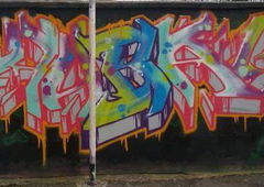 Photo #100600 by TheWallHunter