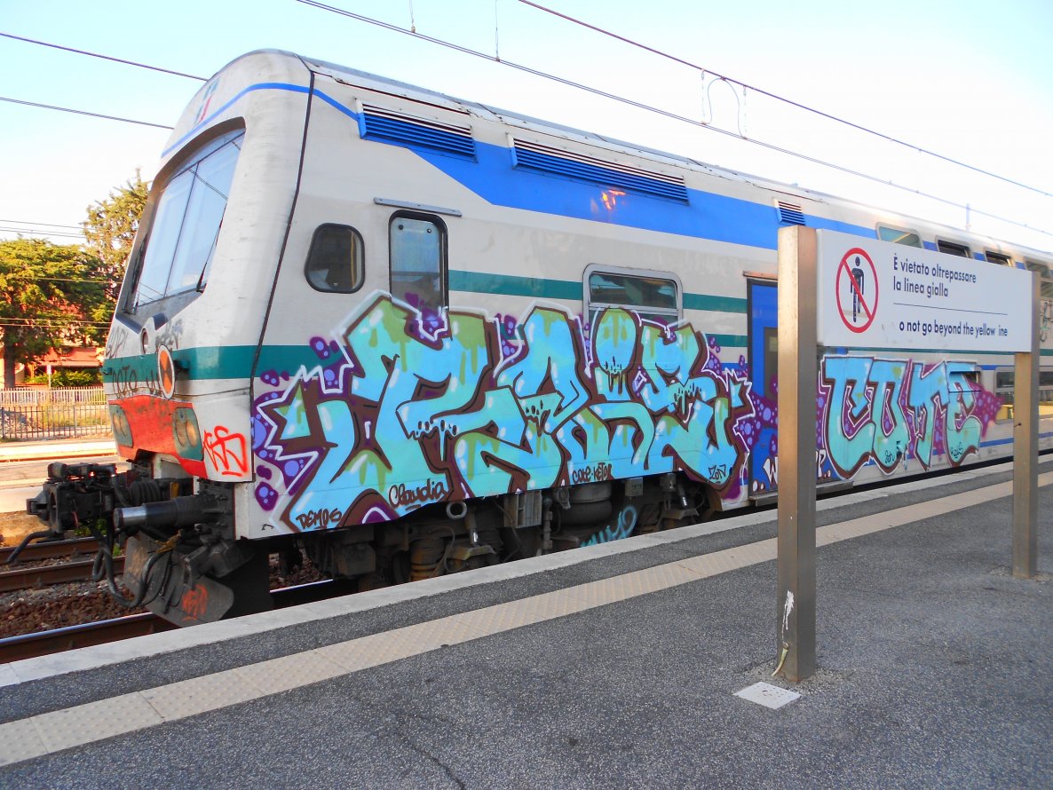 Graffiti Train in Rome - Photo by HujCiwDupe - rais, cote, roma