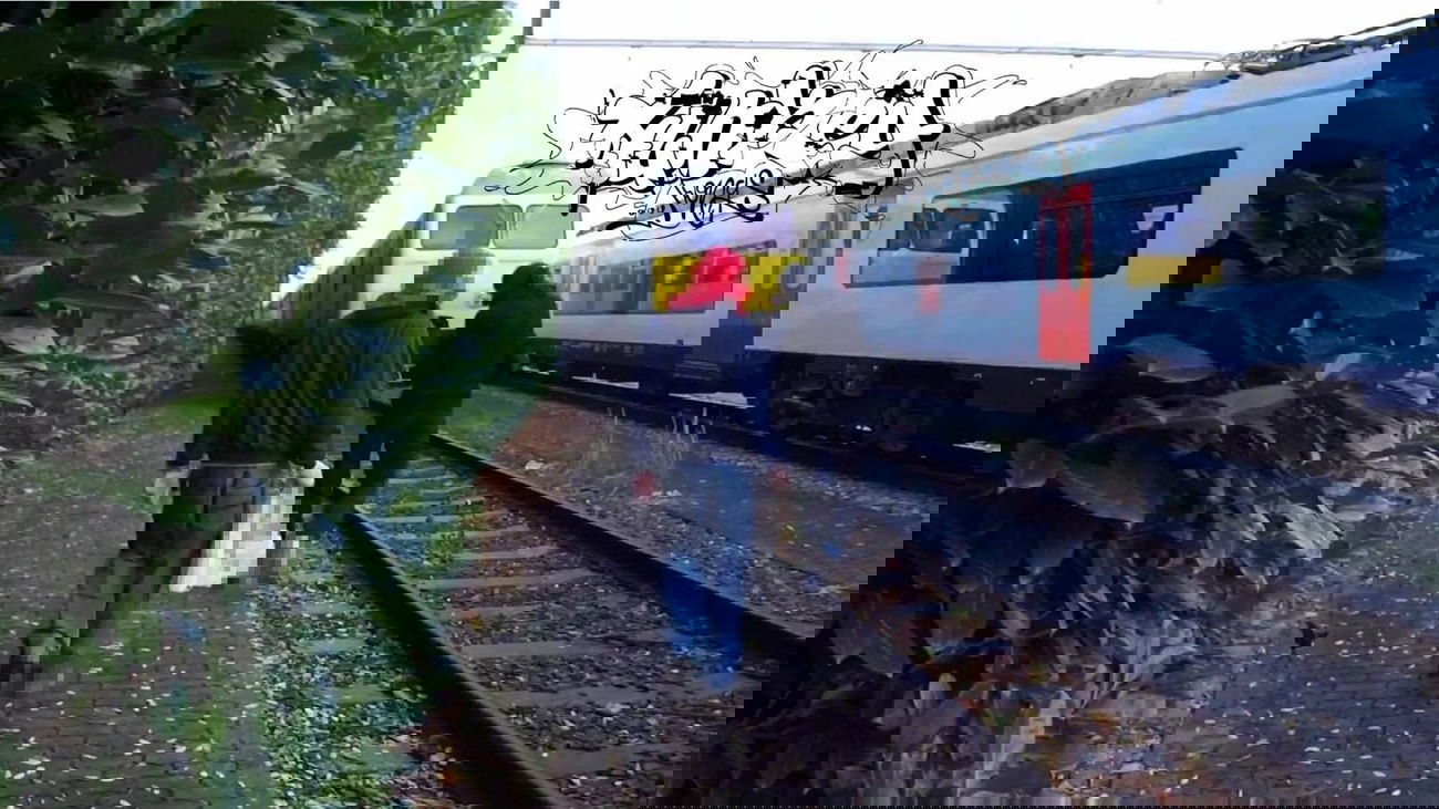 Graffiti Train - Photo by HunkeyKongs - Hunkey, Kongs, The (2015)