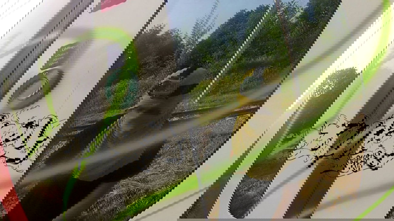 Graffiti Train - Photo by HunkeyKongs - unkey, Kongs, The (2015)