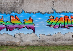 Photo #221282 by TheWallHunter