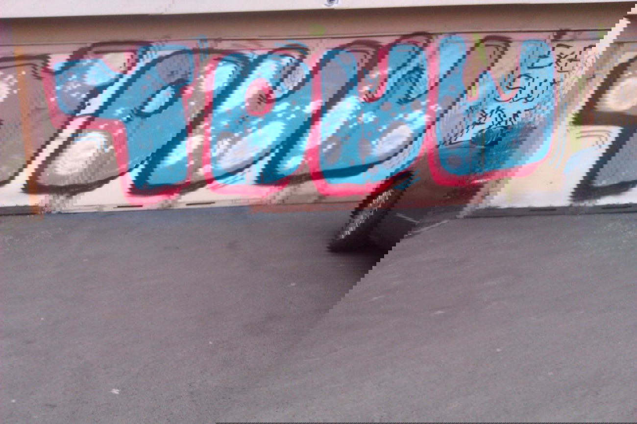 Graffiti Bombing - Photo by ICD10 - YOUW, YC, Slut (2012)