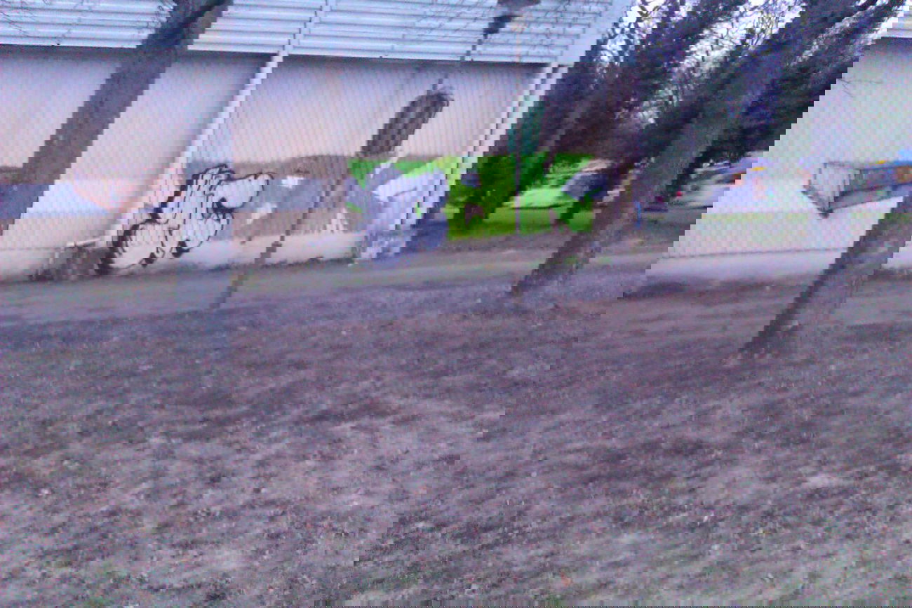 Graffiti Bombing in Leipzig - Photo by ICD10 - YC, Leipzig, Youw (2014)