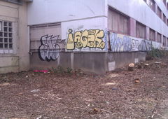 Photo #72504 by Fusseloner