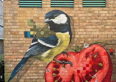 Photo #235330 by DboyMadden