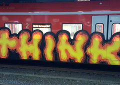 Photo #159868 by Belt