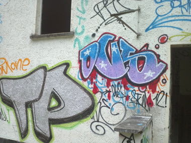Graffiti Bombing - Photo by INFOrmation - OVS, TP (2012)
