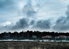 Photo #185668 by MENO