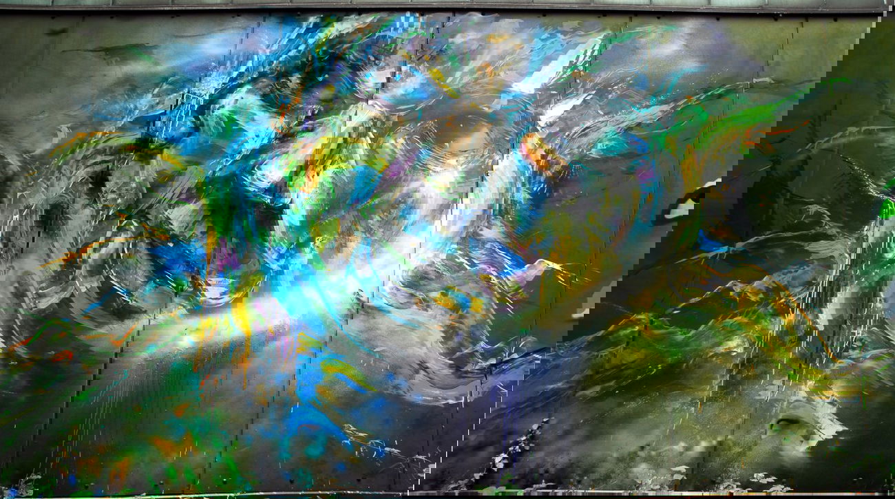 Graffiti Wall in Dortmund - Photo by ISO100 - bird, fsm, dortmund (2013)