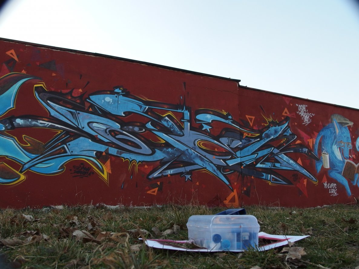 Graffiti Wall - Photo by IceKid - OPEL, ICE, MAD