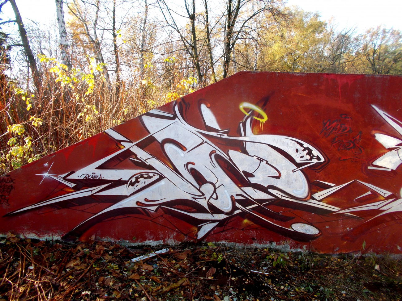 Graffiti Wall - Photo by IceKid - ice, madkids