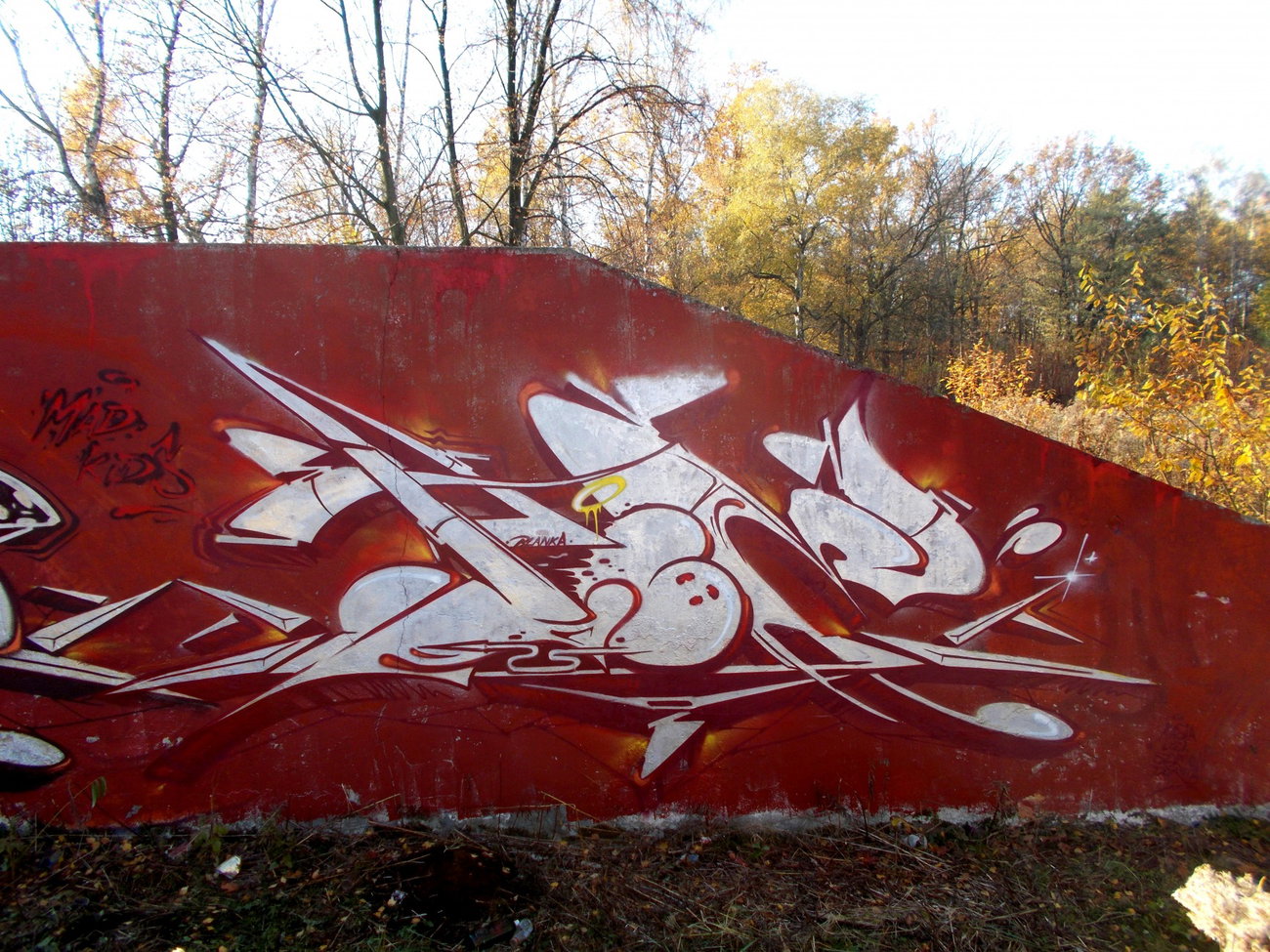 Graffiti Wall - Photo by IceKid - ice, madkids