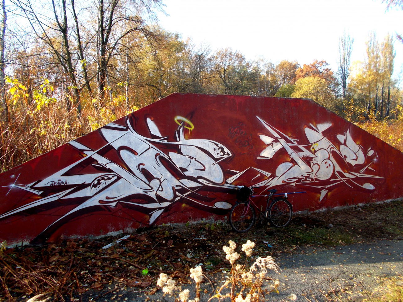 Graffiti Wall - Photo by IceKid - ice, madkids