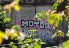 Photo #198110 by Peterock