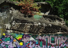 Photo #198109 by Sunshine