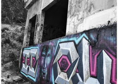 Photo #30053 by Sobk