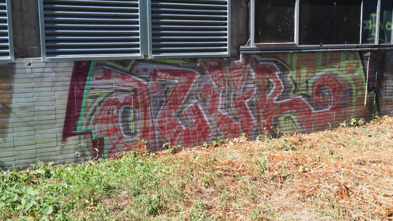 Graffiti Bombing in Köln - Photo by Ihrefeld1 - Azür