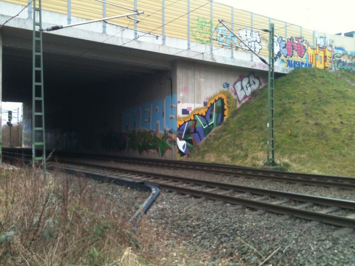 Graffiti Bombing - Photo by Ihrefeld1 - Slo, Puton, Rat