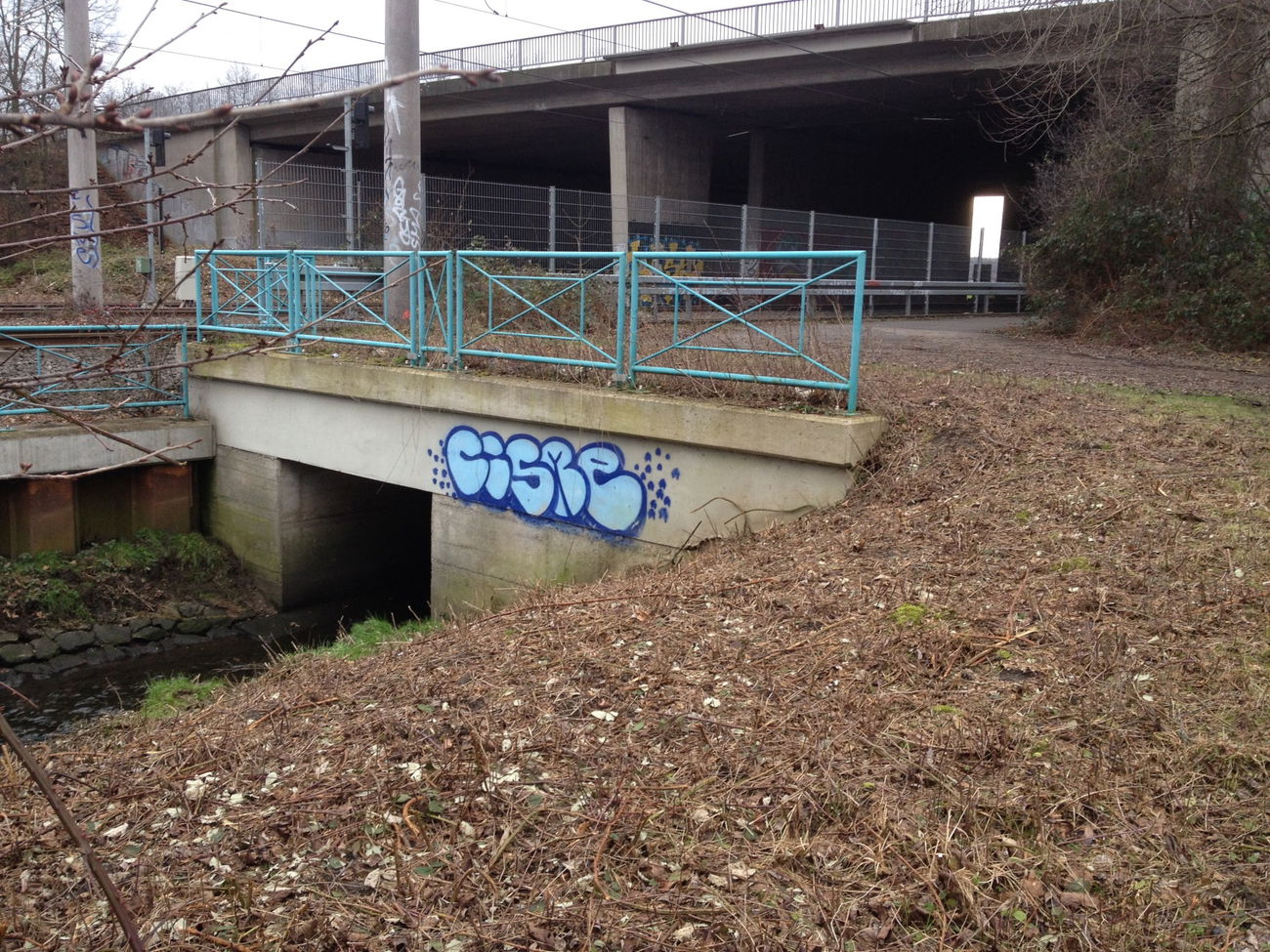 Graffiti Bombing in Köln - Photo by Ihrefeld1 - Cisme (2012)