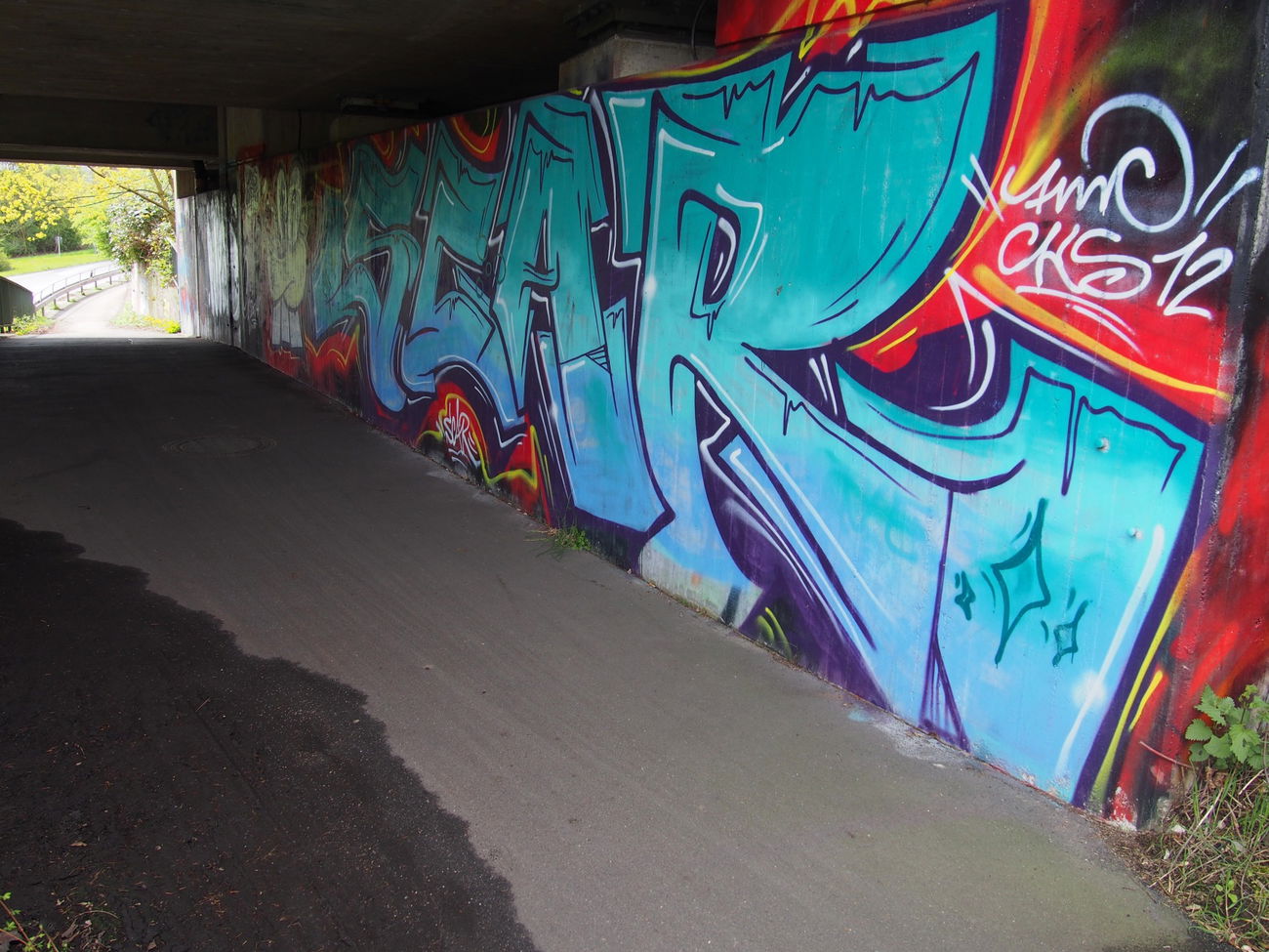 Graffiti Bombing in Köln - Photo by Ihrefeld1 - Scar, Fmc (2014)