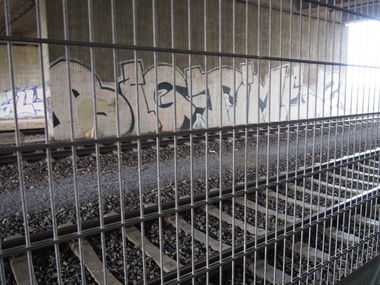 Graffiti Bombing in Köln - Photo by Ihrefeld1 - BigTime