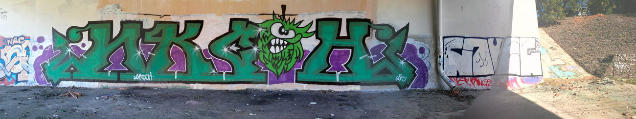 Graffiti Wall in Moscow - Photo by Ikson - rollup, roller (2015)