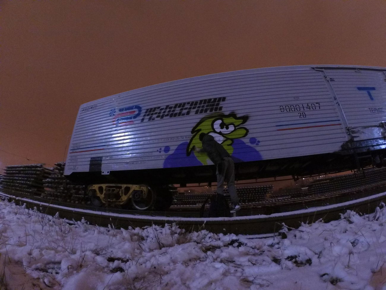 Graffiti Train - Photo by Ikson - action, spray, moscow (2017)