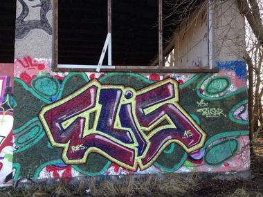 Graffiti Bombing - Photo by Ilovemilf193