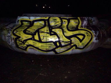 Graffiti Bombing - Photo by Ilovemilf193