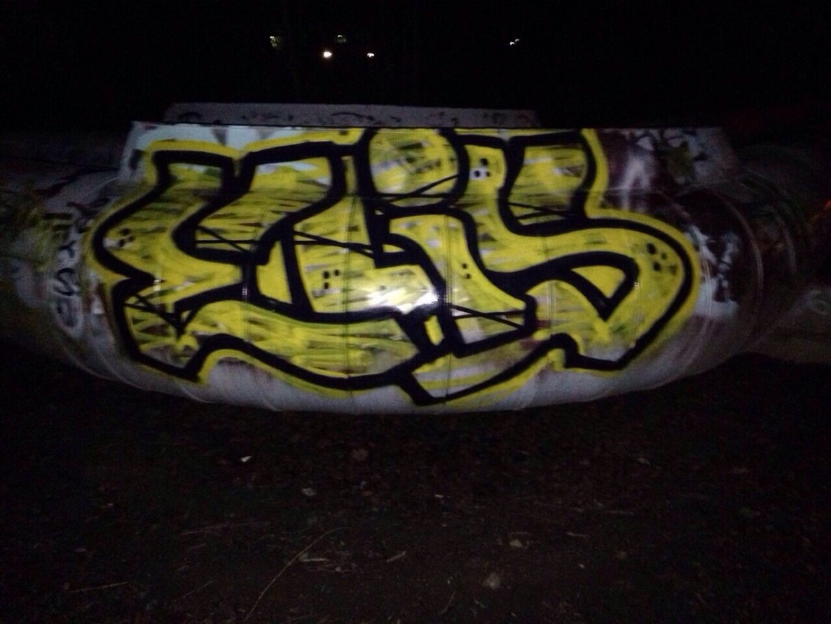 Graffiti Bombing - Photo by Ilovemilf193