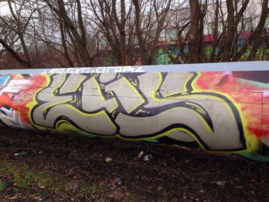 Graffiti Bombing - Photo by Ilovemilf193