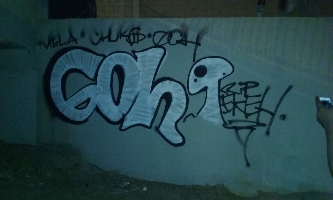 Graffiti Bombing - Photo by Infant - Goh (2015)