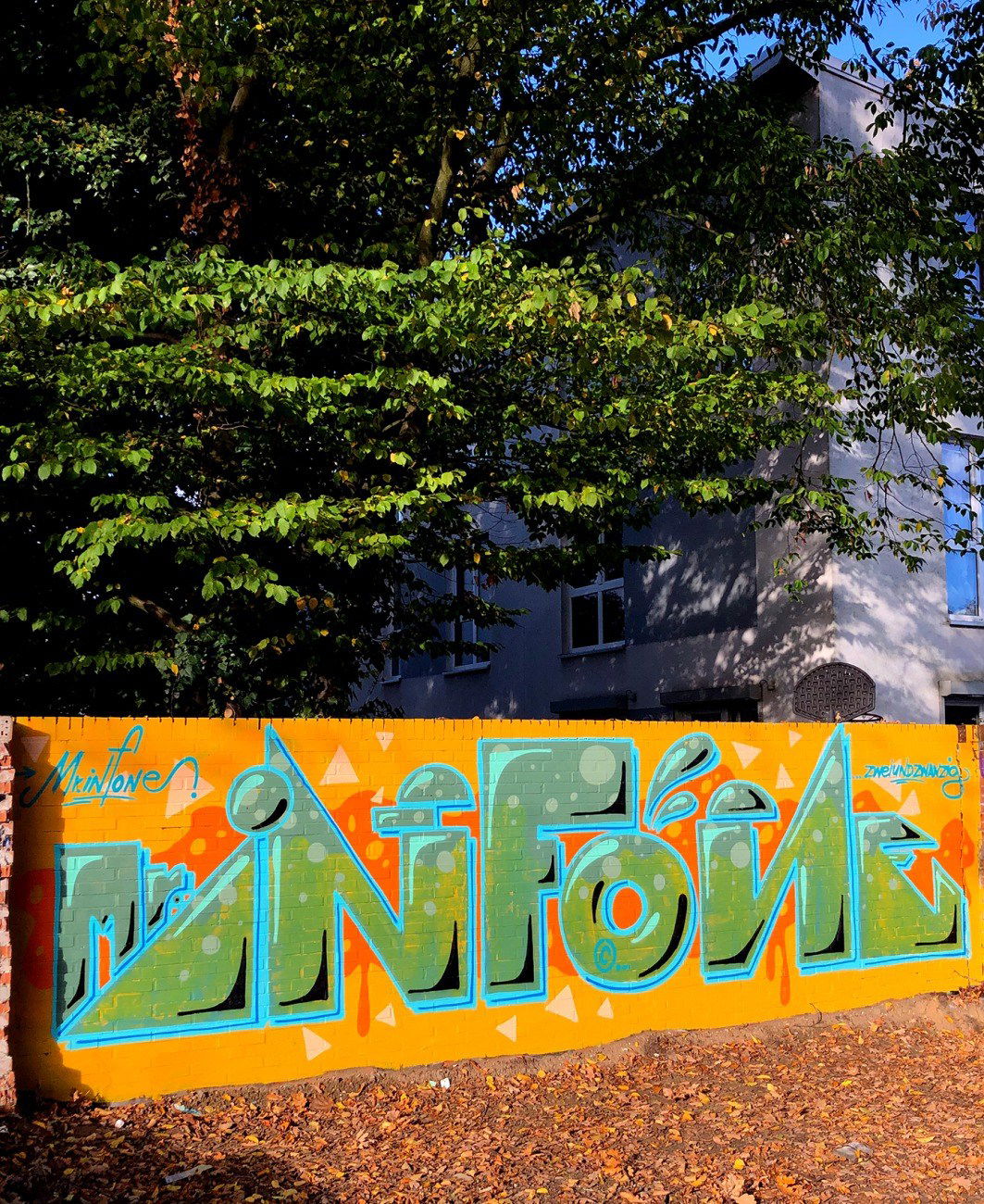 Graffiti Wall - Photo by Info