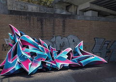 Photo #249267 by TheWallHunter