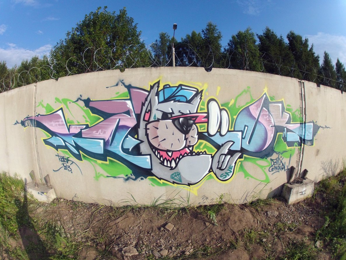Graffiti Wall - Photo by IvanSne