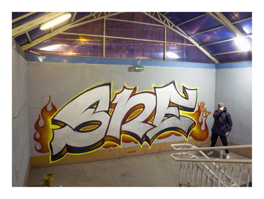 Graffiti Bombing - Photo by IvanSne