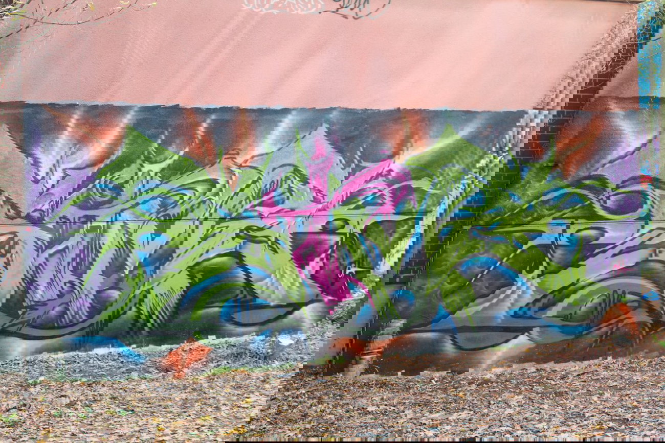 Graffiti Wall - Photo by JJoe - Sime