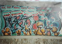 Photo #223642 by Belt