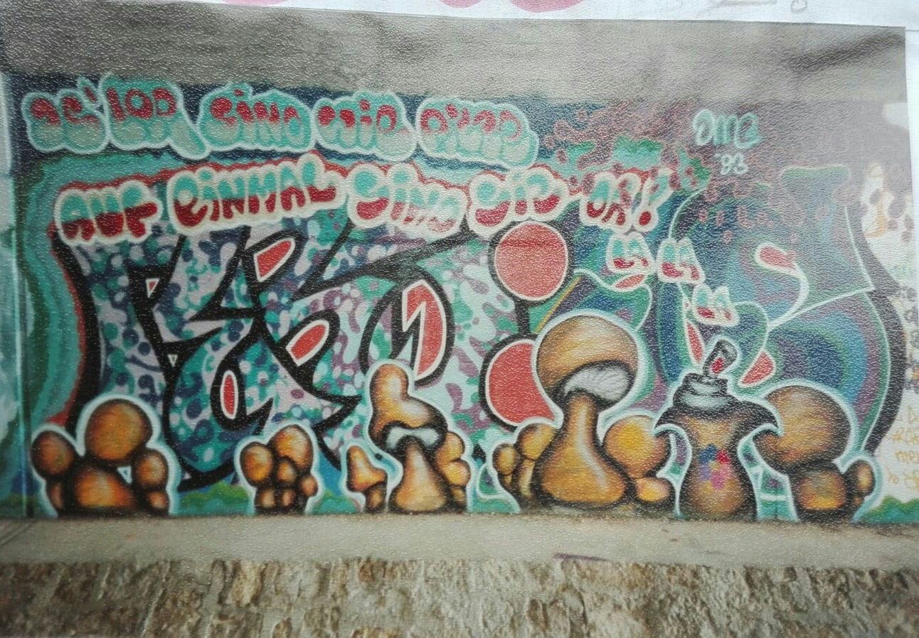 Graffiti Wall - Photo by JMC - JMC (1993)