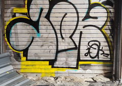 Photo #248144 by iobe1