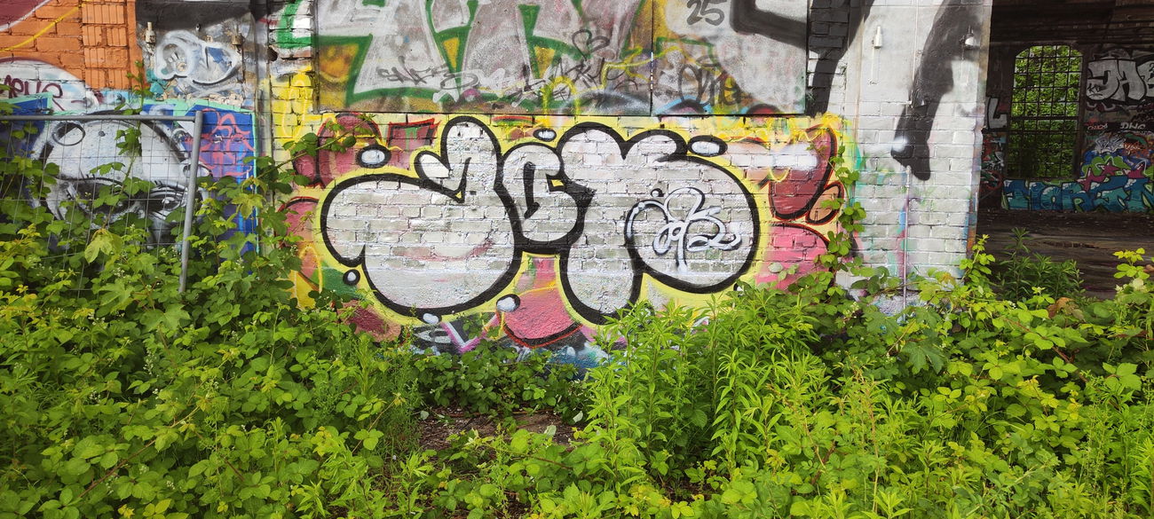 Graffiti Bombing in Leipzig - Photo by JOK (2025)