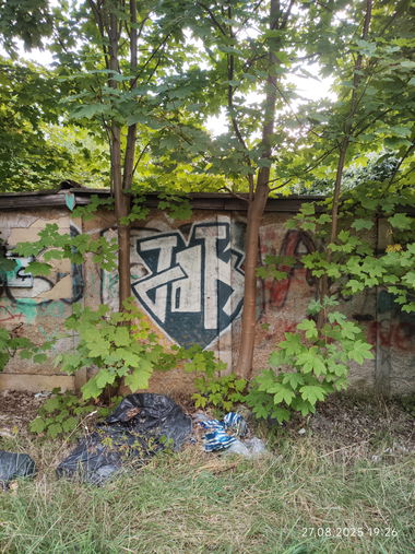 Graffiti Bombing in Leipzig - Photo by JOK (2025)