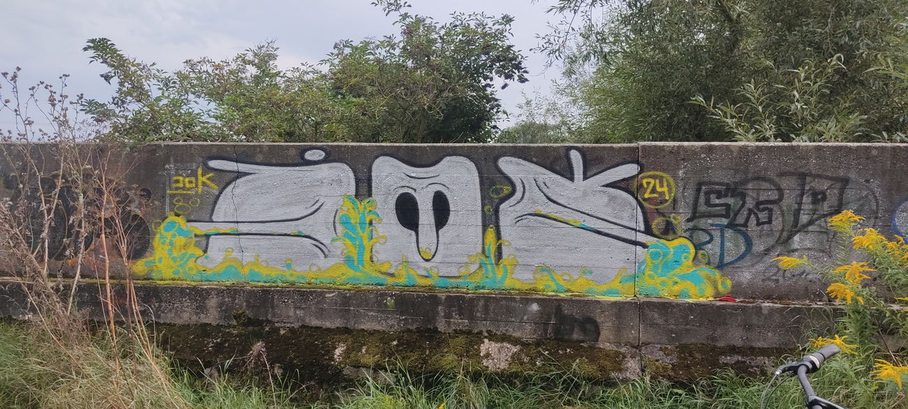 Graffiti Bombing in Deutschland - Photo by JOK (2024)