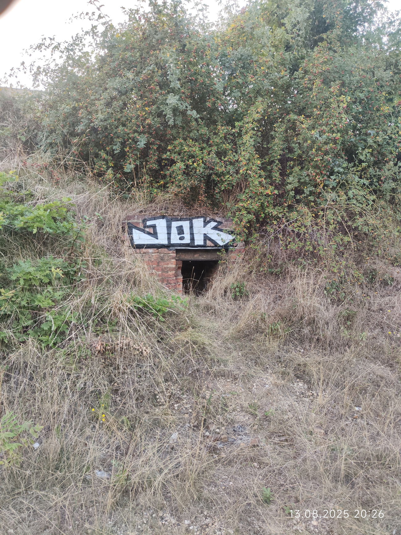 Graffiti Bombing in Leipzig - Photo by JOK (2025)